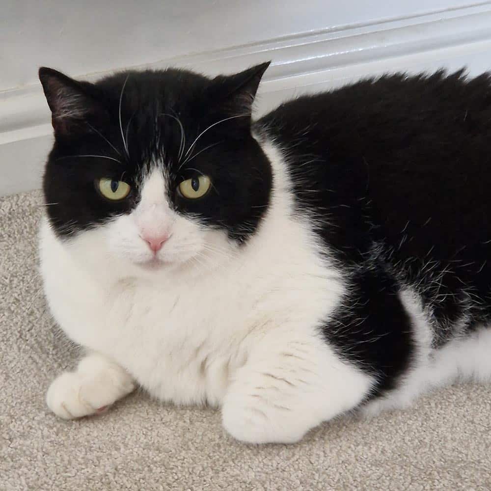 Stainless Steel Cufflinks - Image 2