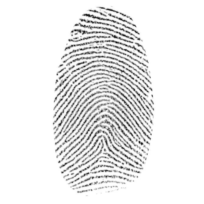 Original fingerprint before preparation for clean line engraving