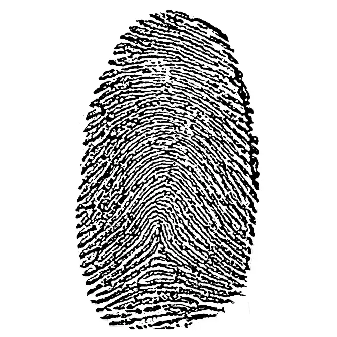 Fingerprint prepared for detailed texture jewellery engraving