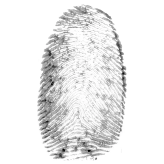 Original lighter fingerprint before detailed texture preparation