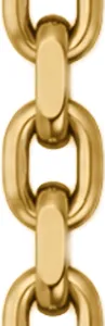 Enlarged detail showing the links of a gold coloured stainless steel Rolo chain