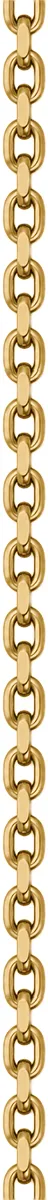 Full view of a gold coloured stainless steel Rolo chain