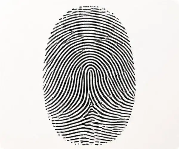 Fingerprint image suitable for personalised jewellery engraving