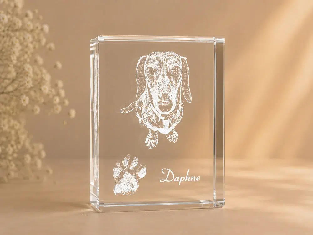 Pet portrait, paw print and name engraved inside a personalised crystal block
